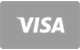 Visa betaalkaart icoon